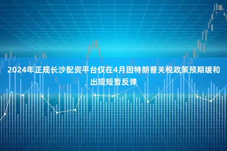 2024年正规长沙配资平台仅在4月因特朗普关税政策预期缓和出现短暂反弹