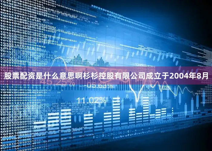 股票配资是什么意思啊　　杉杉控股有限公司成立于2004年8月