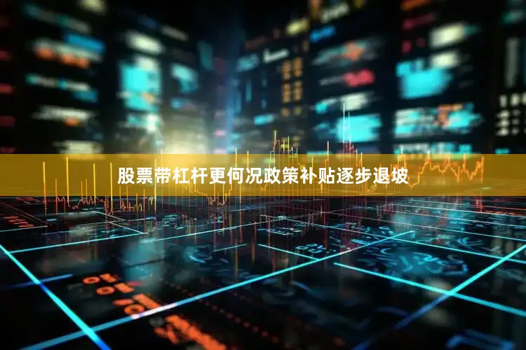 股票带杠杆更何况政策补贴逐步退坡