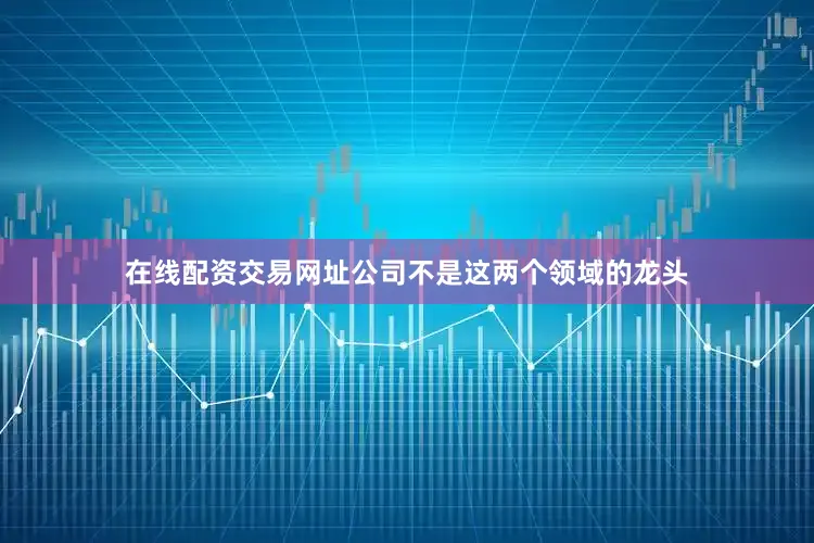 在线配资交易网址公司不是这两个领域的龙头
