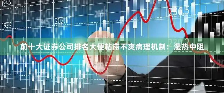 前十大证券公司排名大便粘滞不爽病理机制:湿热中阻