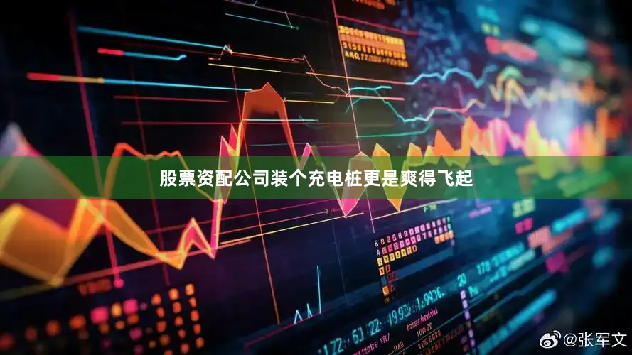 股票资配公司装个充电桩更是爽得飞起